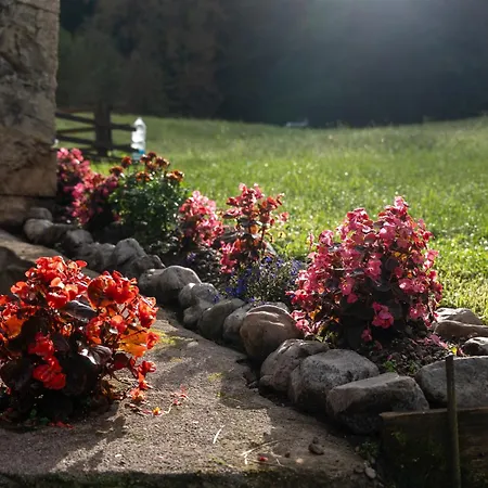 Шале Wooden Stories - Nature, Netflix & Wi-fi