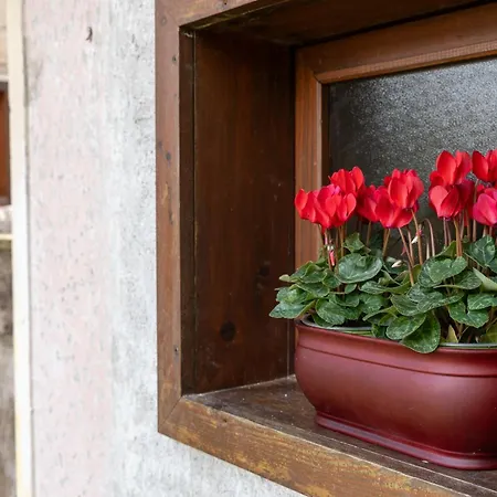 Wooden Stories - Nature, Netflix & Wi-fi Chalet *