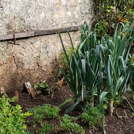 Chalet Wooden Stories - Nature, Netflix & Wi-fi *